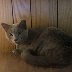 Meet your Posher, Timothy